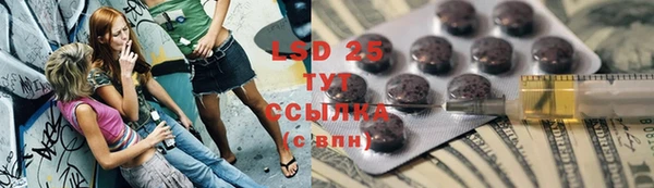 ECSTASY Алзамай