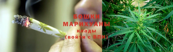 прущие грибы Алексеевка