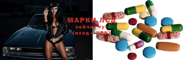 прущие грибы Алексеевка