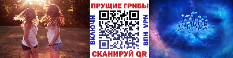 Галлюциногенные грибы Psilocybe  Купить где  Щёлково 